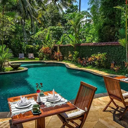5Br Tropical Private Pool Villa Ubud Cyn